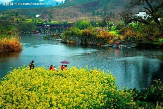 【婺源賞油菜花】【夢里黃山】純玩四日-- 不加不購//游山玩水戲花海 [包含婺源景點套票210元，真正的深度游]