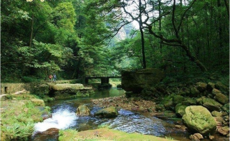 湖南長沙-韶山-張家界-國家森林公園-世界第一玻璃橋-煙雨張家界晚會-天門山-玻璃棧道-鳳凰古城雙飛六日尊貴游