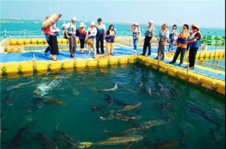 【懶人行】·海陽·威?！熍_·養(yǎng)馬島·海洋牧場·私人沙灘·非常規(guī)·您的私人定制3日游